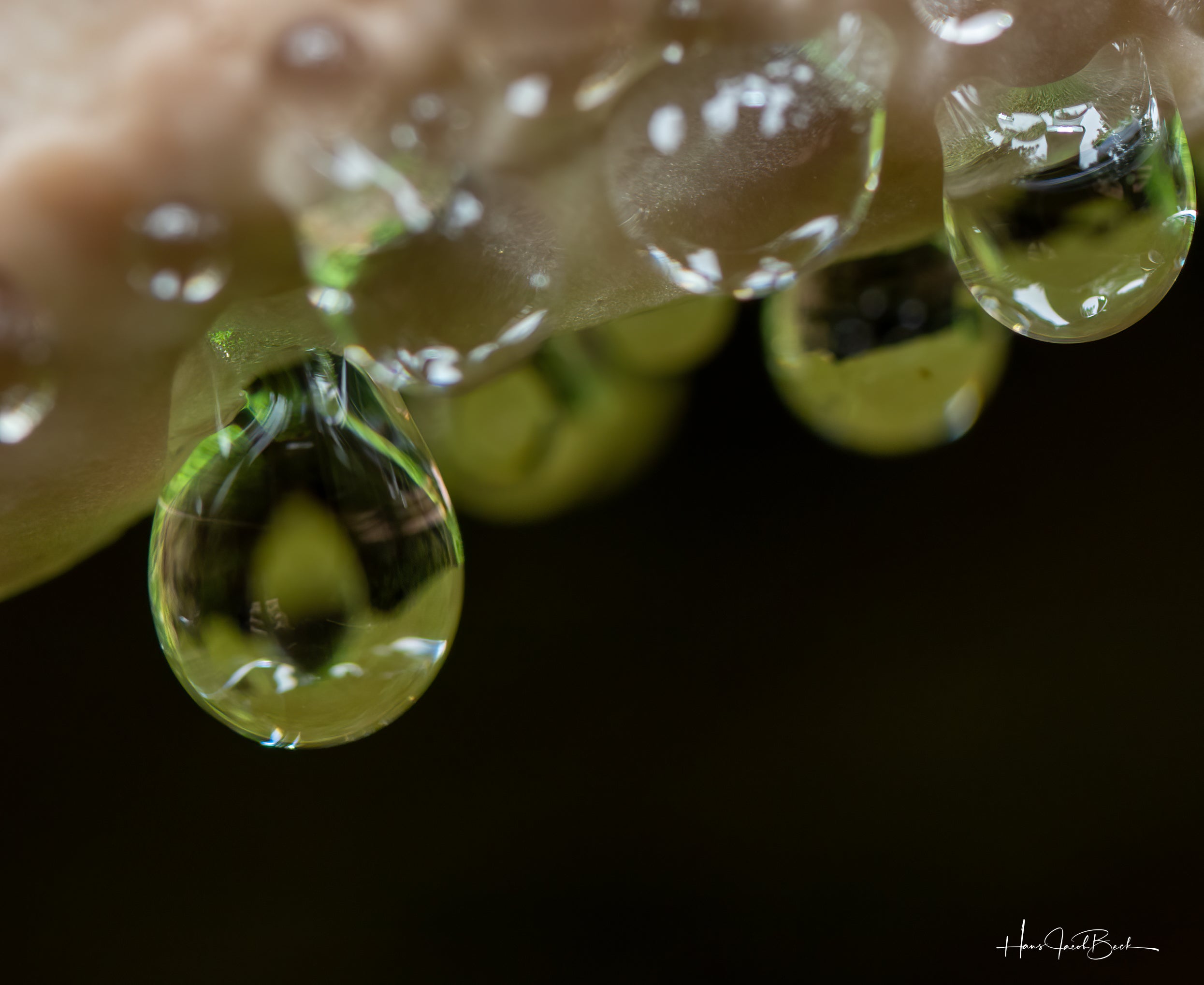 Dråper under sopphatt