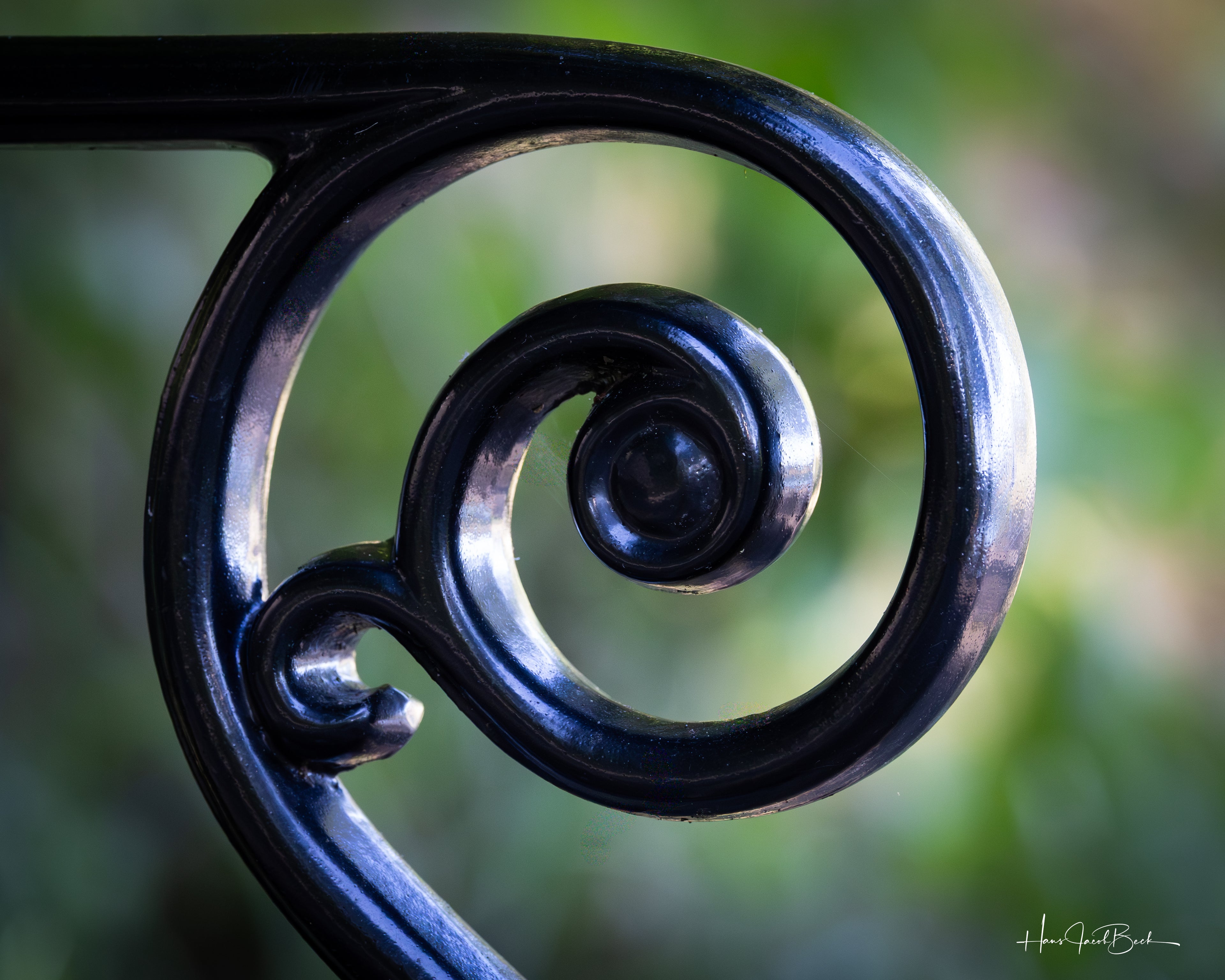 Fire sopper på skogbunn (Kopi)